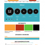 Infographic Resume